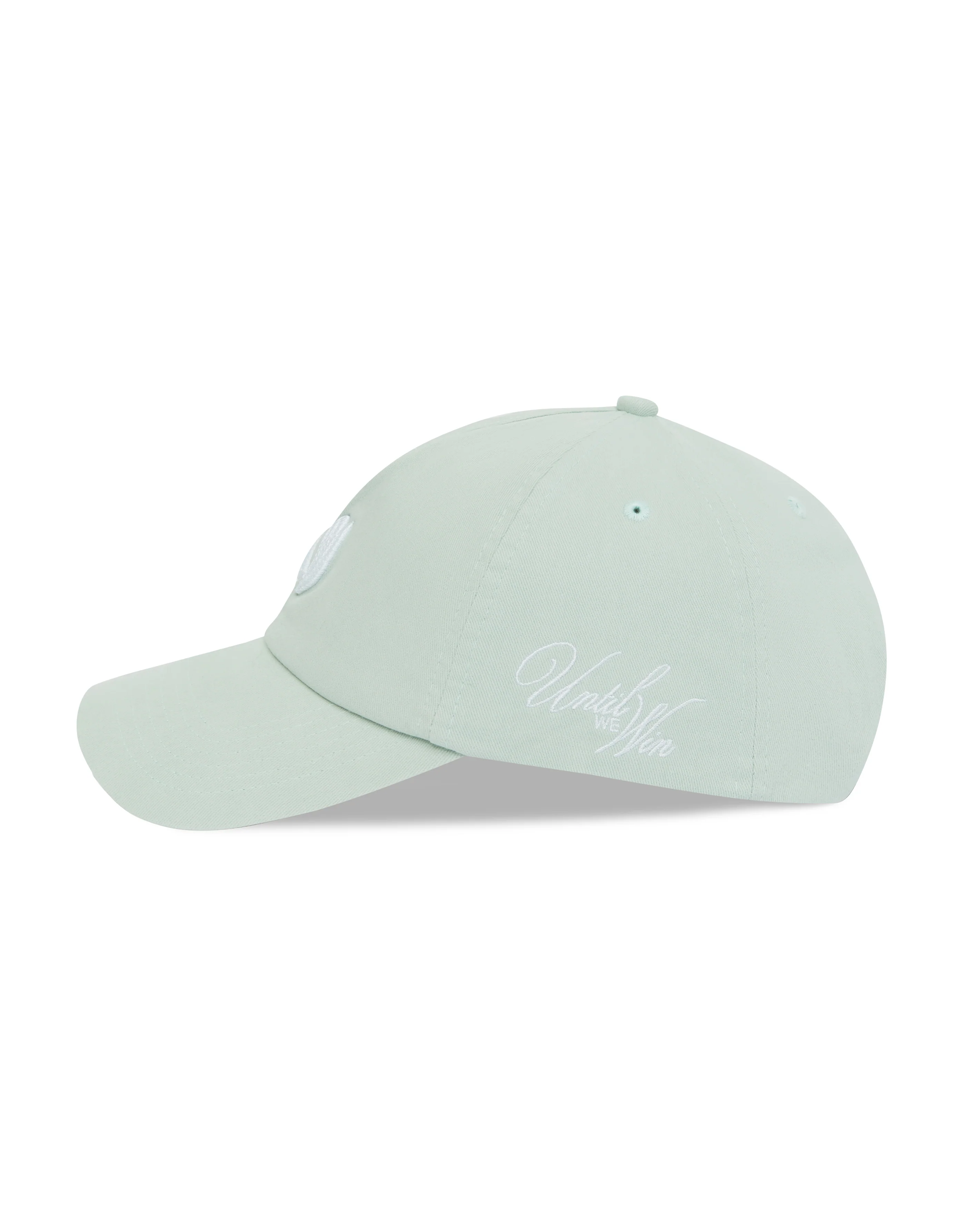 Until We Win Cap - Ice - Image 2