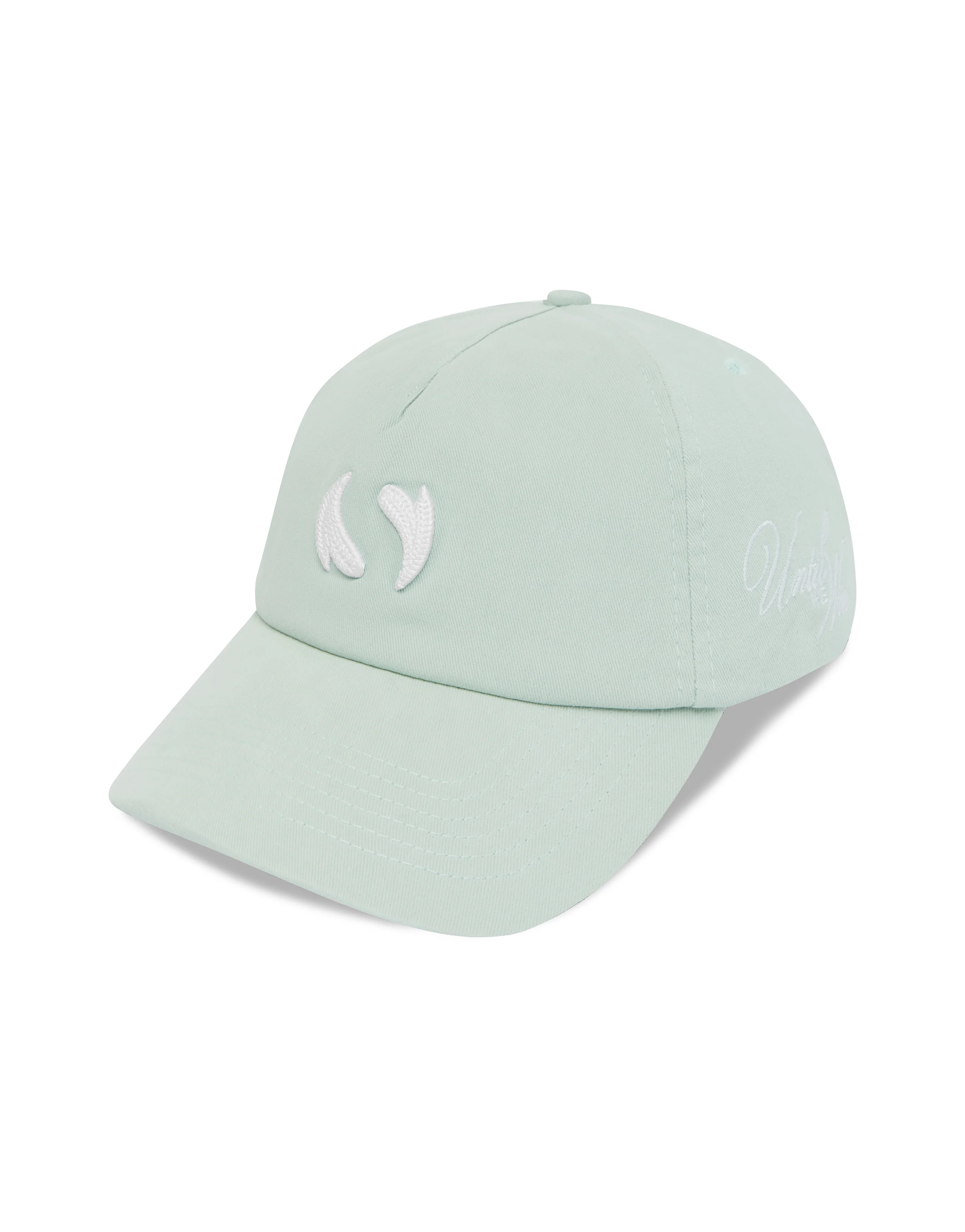 Until We Win Cap - Ice - Image 5
